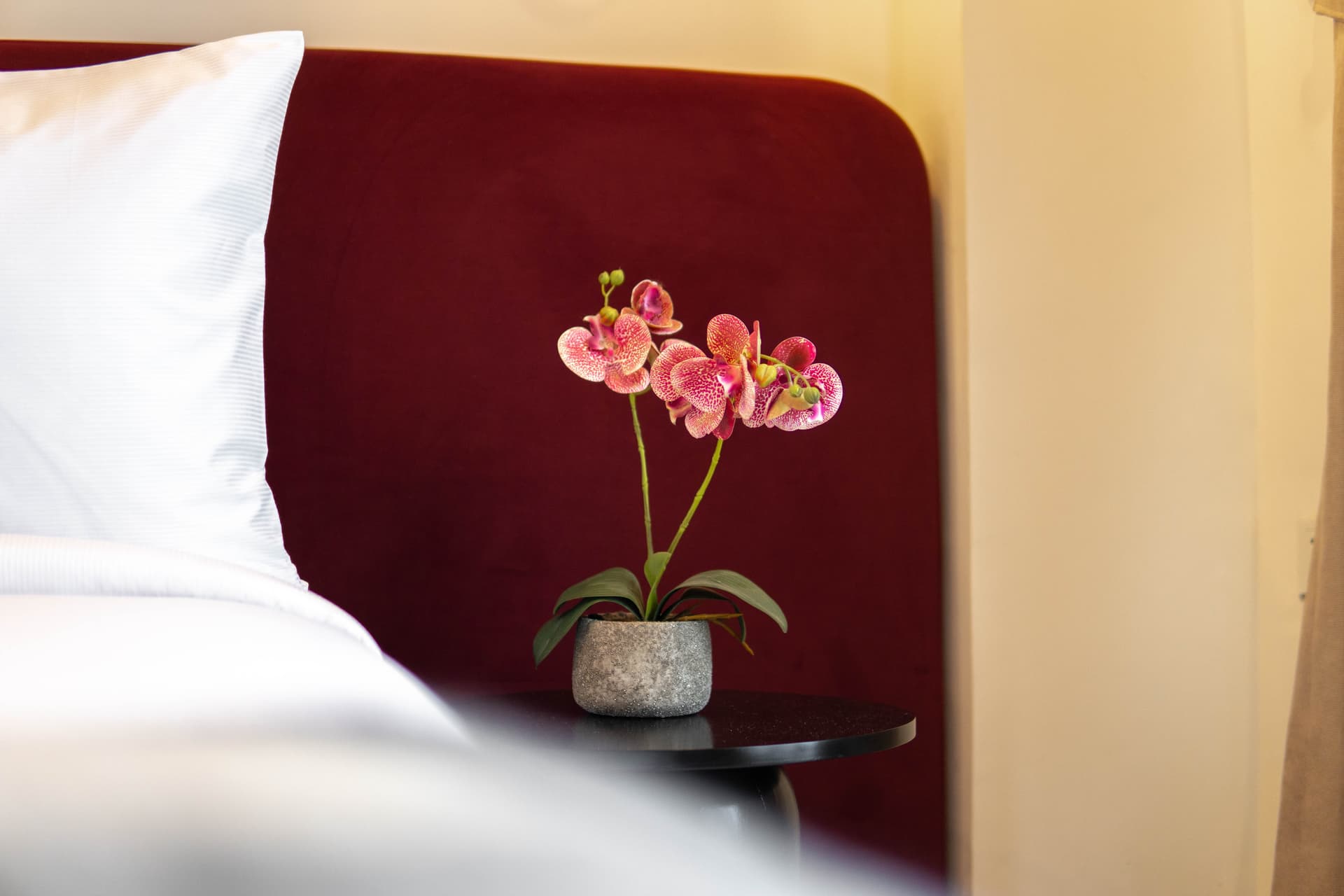 Luxury Spa & Wellness